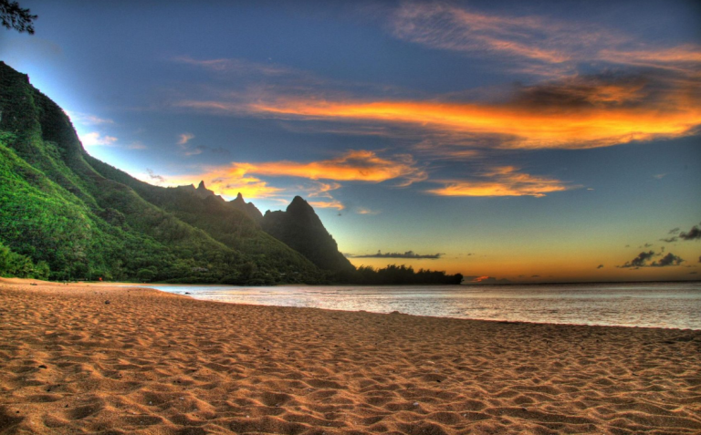 4017